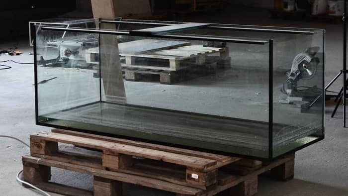 glass acuarium
