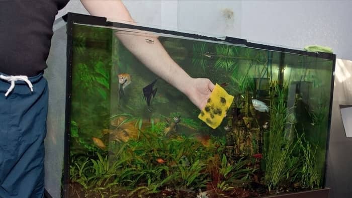  lowering ph in an aquarium
