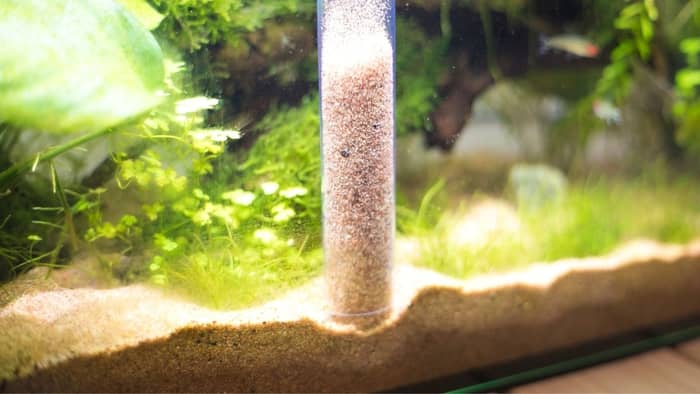  reduce ammonia in an aquarium