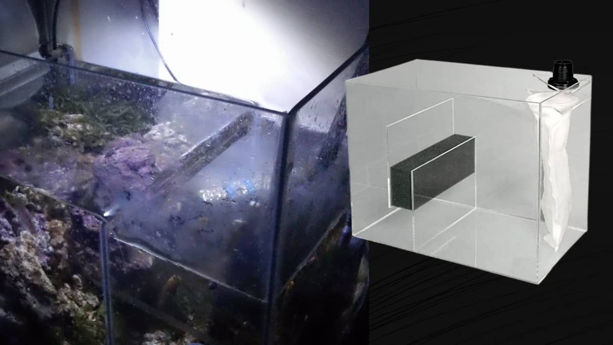 Saltwater Aquarium Sumps This Is Everything You Need To Know