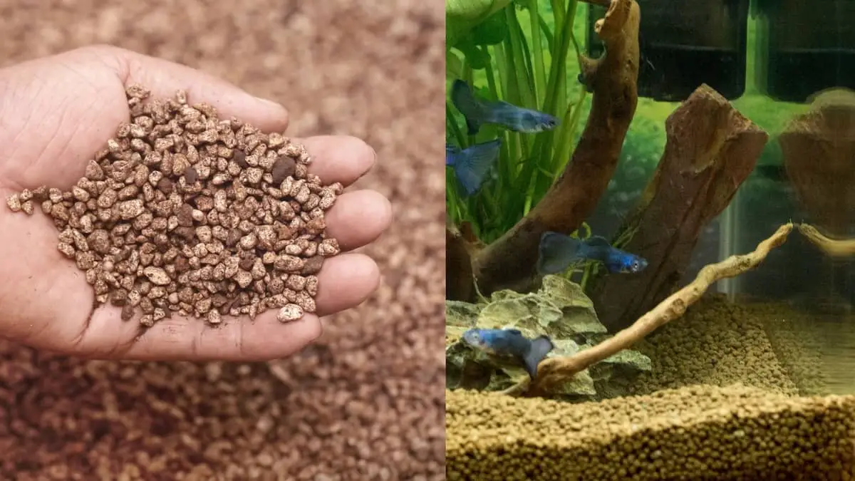 All About The Best Substrate For Planted Aquarium With Fish