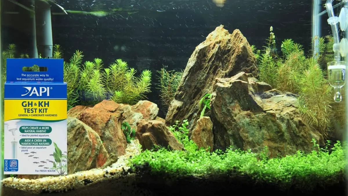 Question Of The Day How To Lower GH In An Aquarium