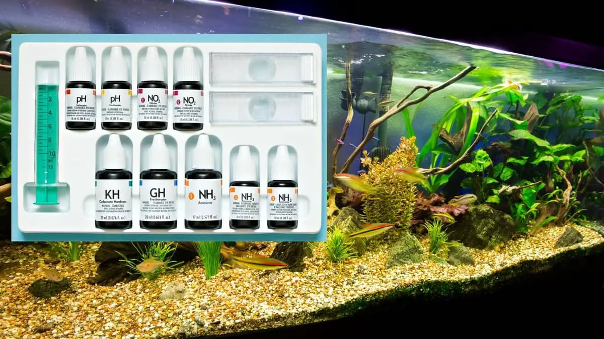 The Best Freshwater Aquarium Test Kit