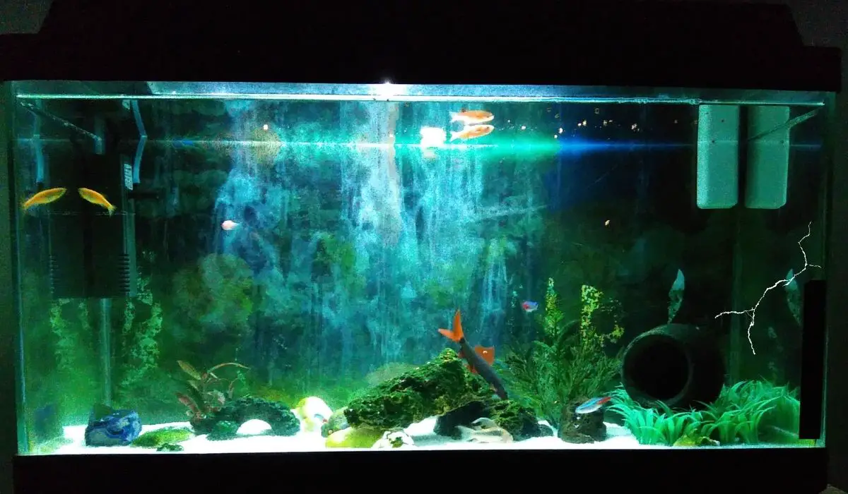 How To Fix A Leaking Aquarium Without Draining