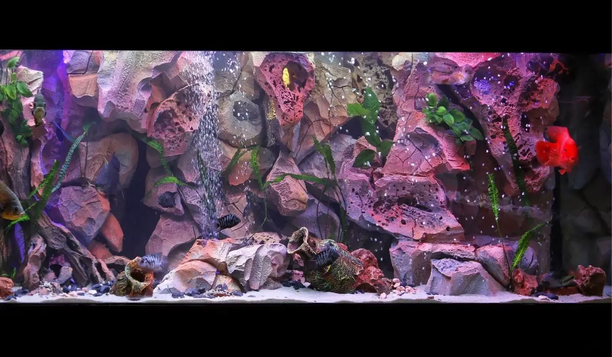 How To Make DIY Rocks For A Freshwater Aquarium