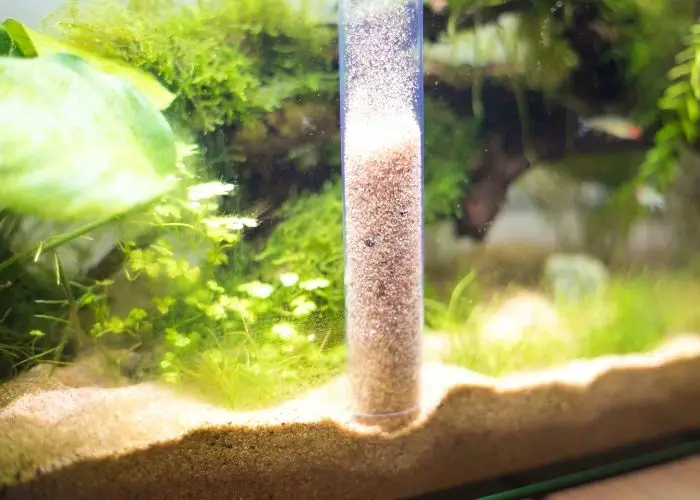 how to rinse aquarium sand