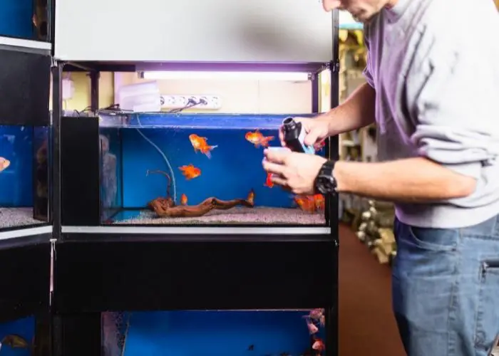 repair a leaking aquarium