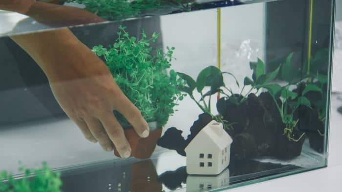  Can I make my own aquarium decorations?