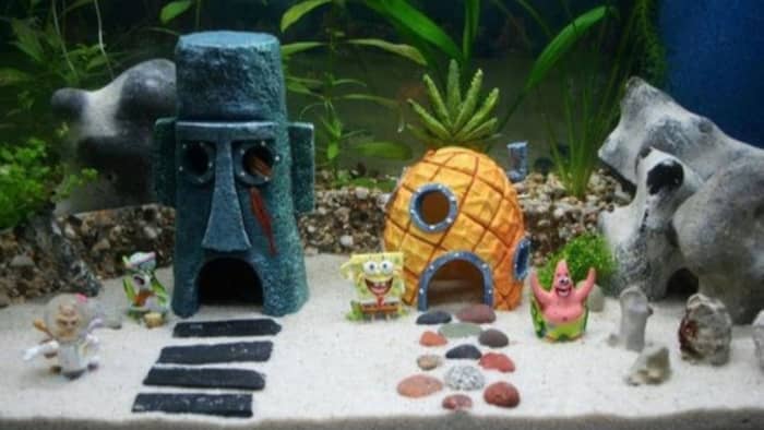  Can I put plastic toys in a fish tank?