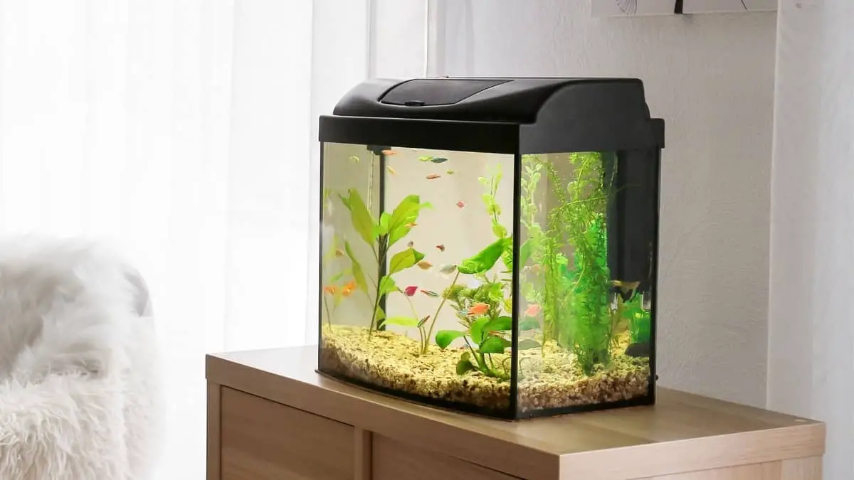 Discover All The Features Of The Aquarium Corner Overflow Kit - Our ...