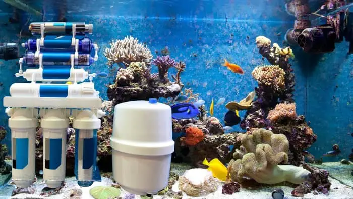  Do you need reverse osmosis for saltwater aquarium?