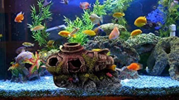  How can I decorate my fish tank for cheap?