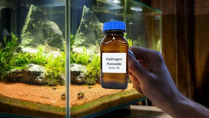  How long does hydrogen peroxide last in an aquarium?