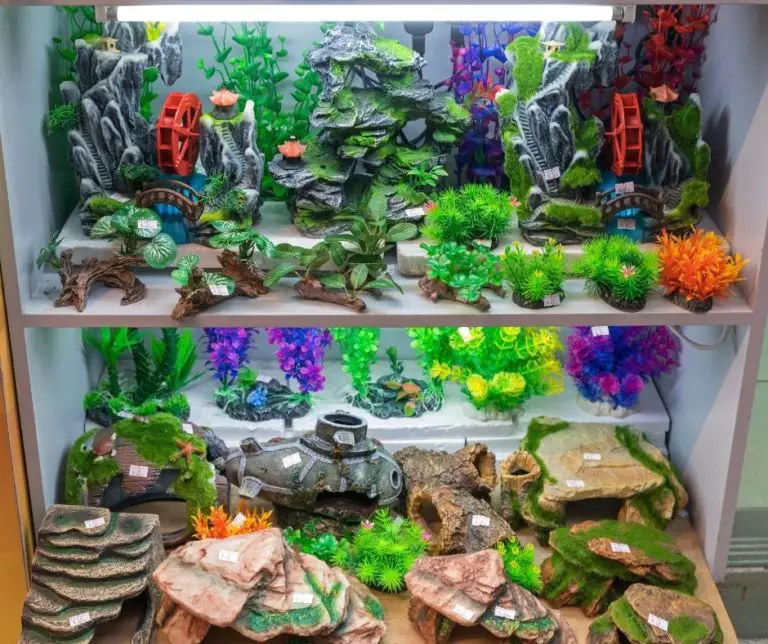 How to Make Your Own Fish Tank Decorations? Our Aquariums