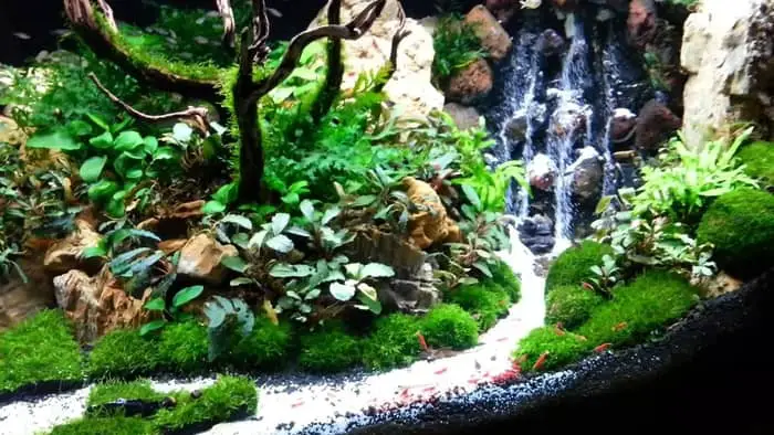  waterfall aquariums