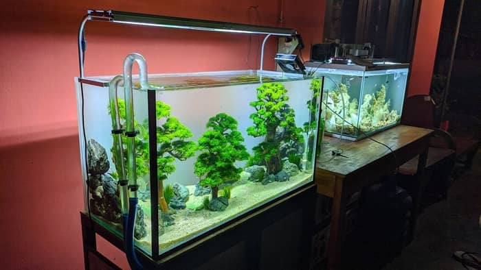  Can I use any light for my aquarium?