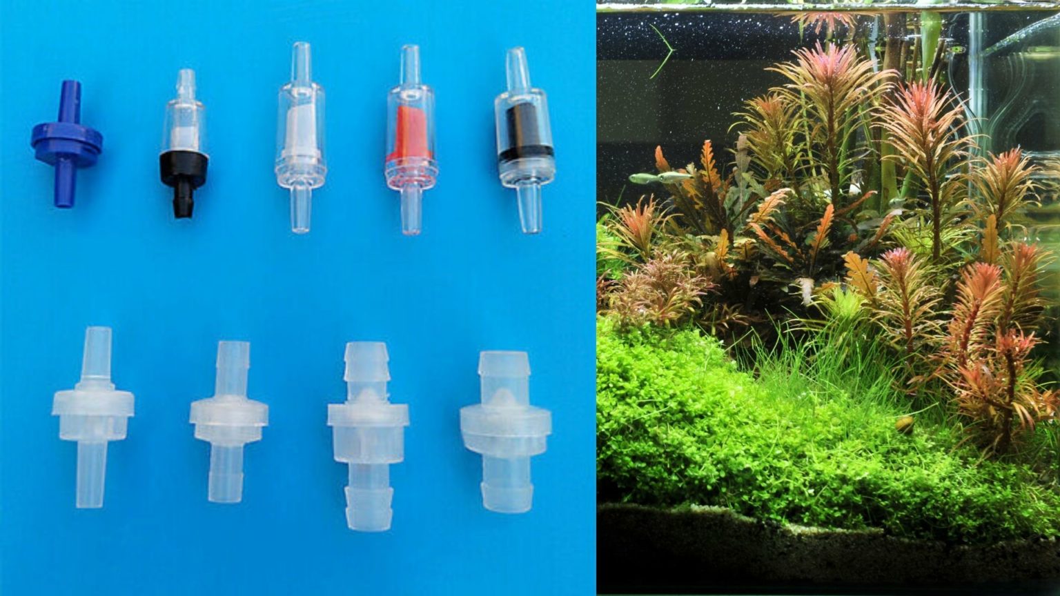 Aquarium Check Valve Direction A Quick & Easy Guide For Easier