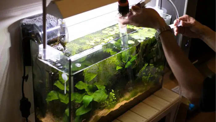  Can aquarium lights grow plants?
