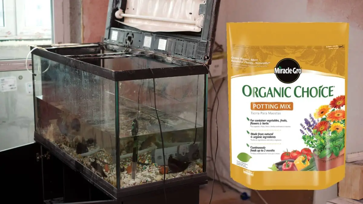Miracle-Gro Organic Choice Potting Mix for Aquarium